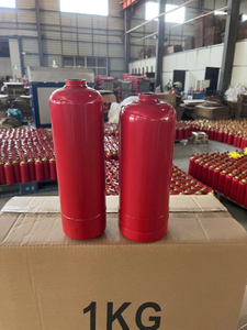 Petits accessoires d'extincteur de secours pour la cheminée