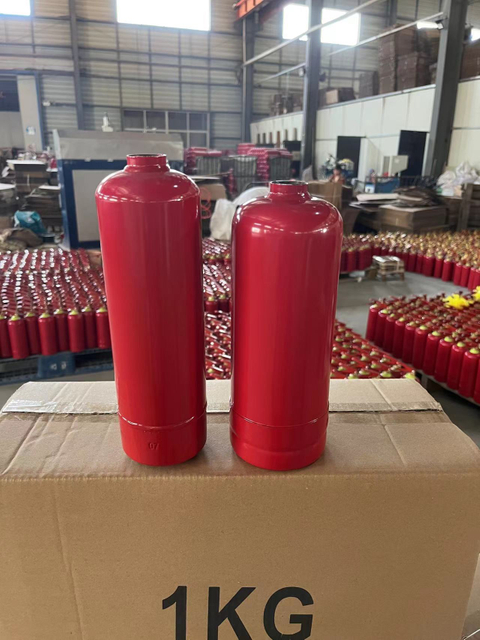 Petits accessoires d'extincteur de secours pour la cheminée