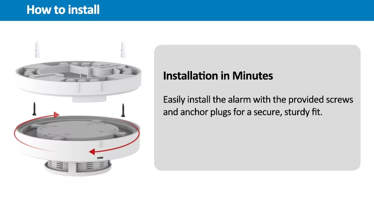 Images_20260302112409_1943_117 