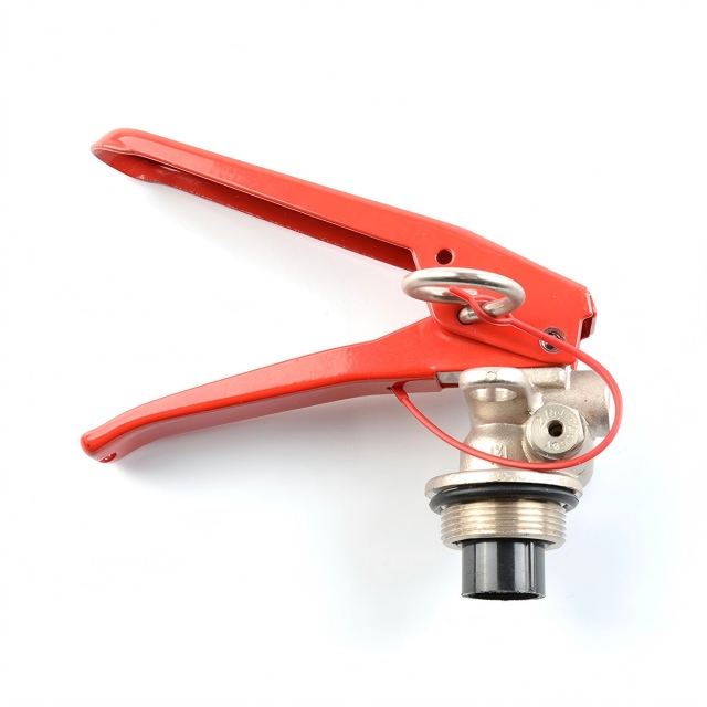 Soupape d'extincteur à poudre sèche standard M30 CE avec soupape de sécurité