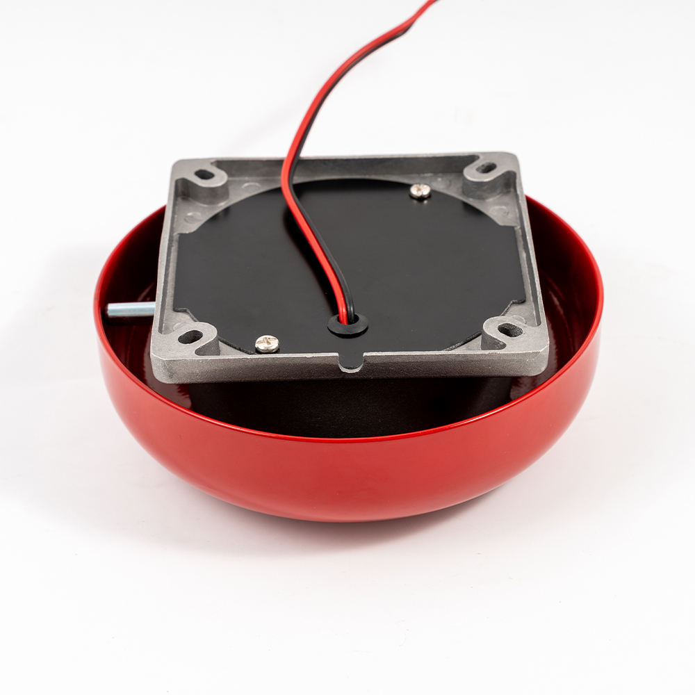 photo_20260302155648_1965_117