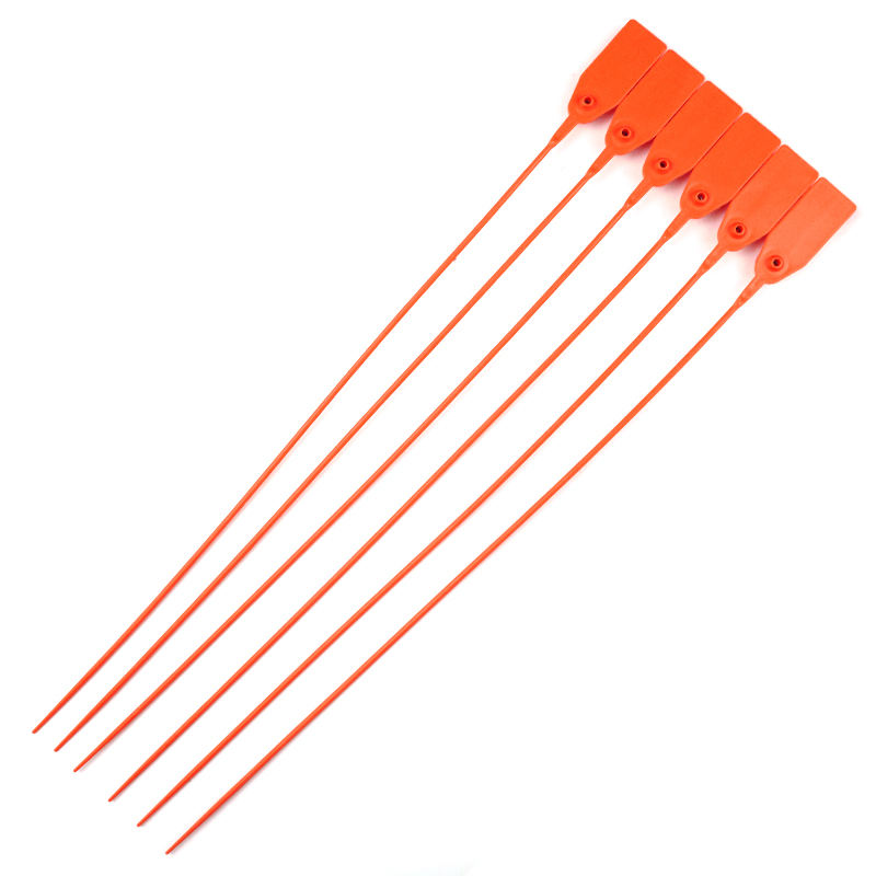 photo_20260312161217_2117_117 