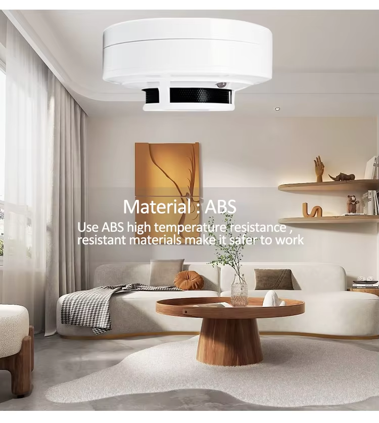 Images_20260302112359_1941_117 