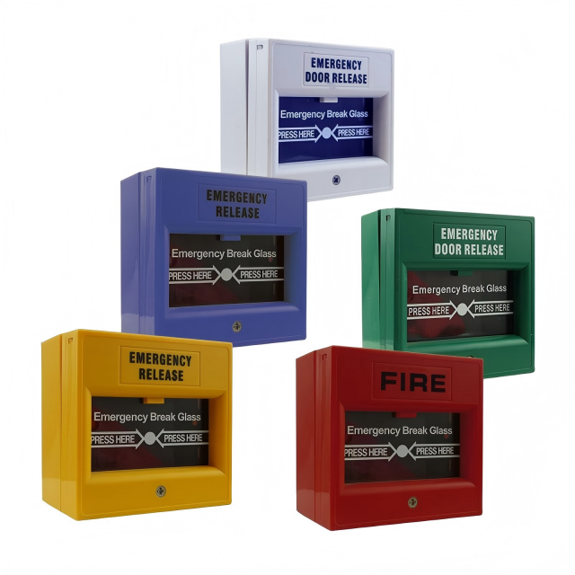 photo_20260302113216_1949_117